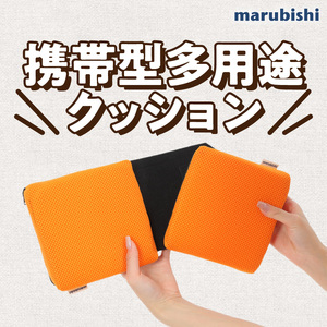 パキュッとクッション  機能性クッション 楽らくクッション 姿勢矯正 カラークッション 立体クッション [023M14]