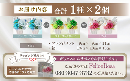 プリザーブドフラワー【グリーン】 2個セット ＜大切な記念日に ペアで飾って＞ ／ インテリア ウェディング 結婚祝 結婚記念日 誕生日 お祝い ギフト プレゼント ブリザーブド フラワー 花 アレン