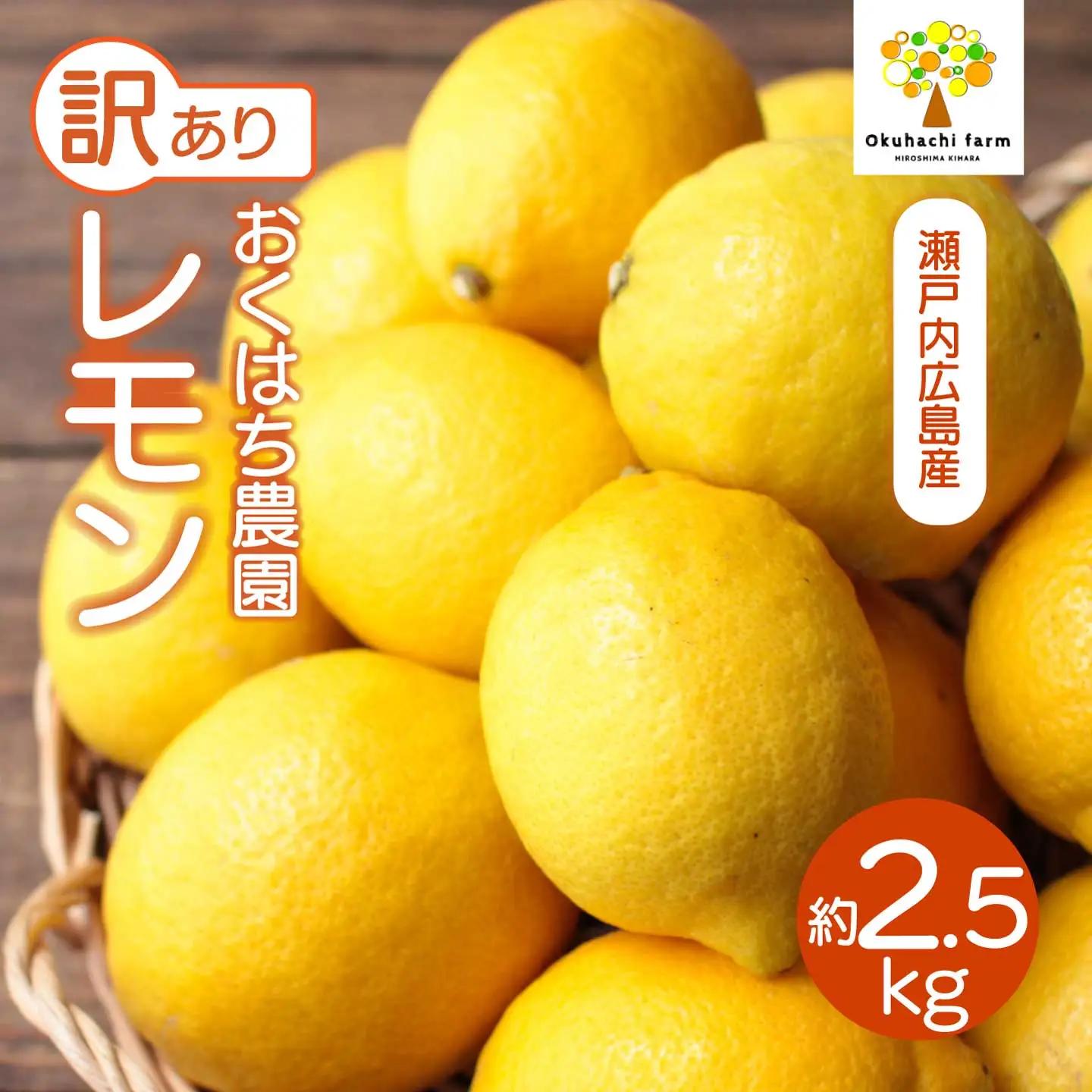 【おくはち農園】〈訳あり〉レモン 2.5kg 《2027年3月～4月発送予定》栽培期間中 防腐剤 ワックス 不使用 旬 柑橘 かんきつ フルーツ 果物  166030