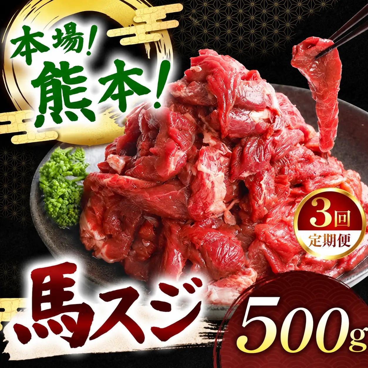 【定期便 3回】馬スジ 500g | 肉 にく お肉 おにく 馬 馬肉 馬スジ 定期 定期便 熊本県 玉名市