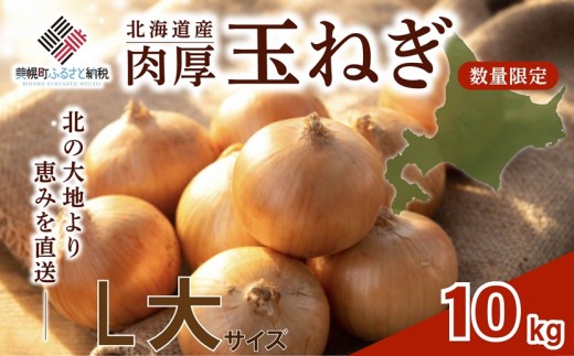 【2026年10月上旬以降発送】 玉ねぎ L大 サイズ 10kg ( 令和8年度産 タマネギ たまねぎ 玉ネギ 玉葱 オニオン スライス サラダ 野菜 スープ 肉じゃが 煮物 ハンバーグ すりおろし 甘い カレー BBQ バーベキュー 新鮮 旬 国産 訳あり 北海道 美幌町 先行予約 送料無料 数量限定 フライ 天ぷら ラーメン 寿司 餃子 ピザ 現地直送 )