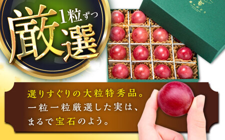 【先行予約：2026年8月中旬より発送】クイーンニーナ・ジュエリーBOX 16粒 [AIAB018]贈答 ぶどう