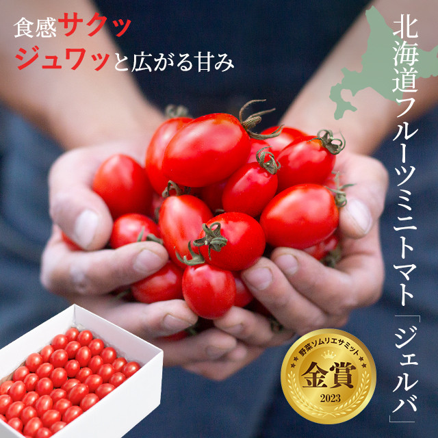 
【2024年産受付開始】金賞受賞！ 北海道フルーツミニトマト【ジェルバ】1.2kg
