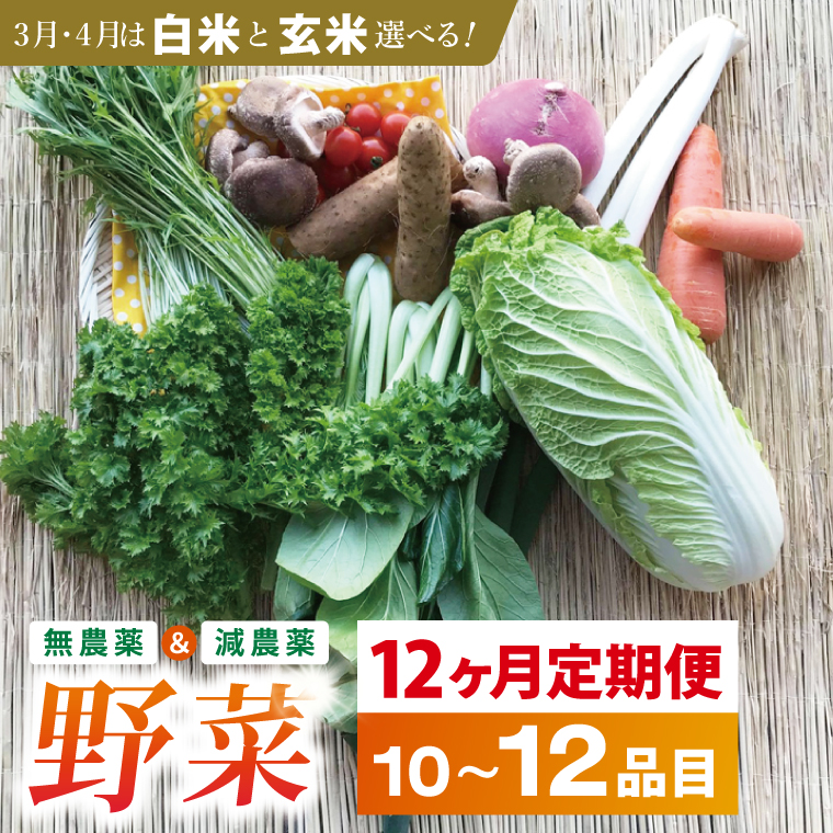 【12ヶ月定期便】身体が喜ぶ季節の野菜 10～12品目(3月、4月は米 5kg)｜米 お米 こめ 玄米 野菜 野菜セット 栽培期間農薬不使用 定期便 野菜定期便 茨城県共通返礼品 共通返礼品 茨城県 潮来市 行方市(BI-10)