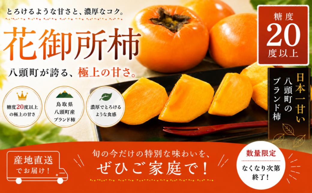 
                  【2026年発送・数量限定】八頭町特産 花御所柿【もぎたて 旬 フルーツ 果物 柿 かき 花御所 郡家 こおげ 冬 鳥取県 八頭町 甘柿 甘味 幻】
                