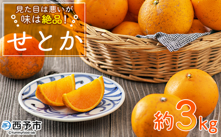 先行予約 ＜見た目は悪いが味は絶品 無茶々園のせとか 約3kg＞果物 みかん ミカン 蜜柑 柑橘 フルーツ 期間限定 季節限定 特産品 無茶々園 愛媛県 西予市【常温】『2025年2月下旬～3月上旬迄に順次出荷予定』AMC0014