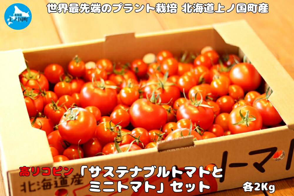 【ふるさと納税】北海道上ノ国町産 寅福菜園のトマト「サステナブルトマト＆ミニトマトセット」　各2kg　とまと　プラントハウス　産地直送　北海道産　野菜　完熟 リコピン