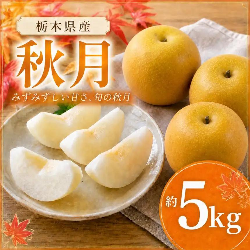 【2026年先行予約】 秋月 5㎏ 真岡市産 梨 なし