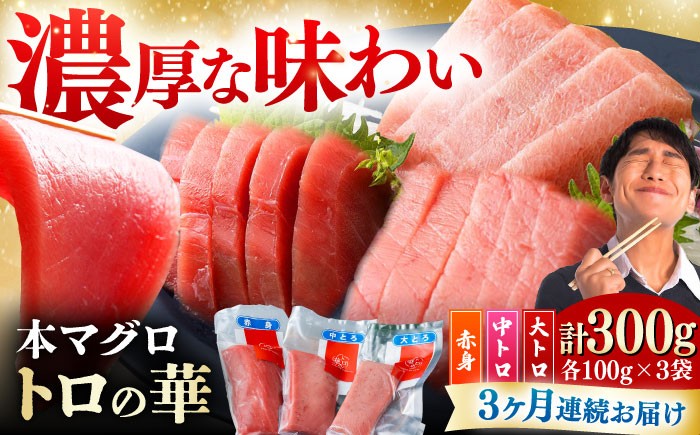 
            【全3回定期便】対馬産 トロ の華の 詰め合わせ 《 対馬市 》【 桐谷商店 】 対馬 新鮮 マグロ 赤身 中トロ 大トロ 鮪 刺身 鮮度抜群 寿司 魚介類 海産物 海の幸 魚 ご褒美 [WAQ012]
          