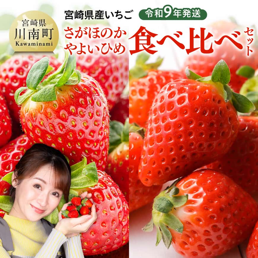 【ふるさと納税】【令和9年発送】　宮崎県産いちご　「さがほのか＆やよいひめ」食べ比べセット - 苺 イチゴ やよいひめ さがほのか 果物 くだもの フルーツ 先行予約 数量限定 宮崎県 川南町 送料無料 B03801