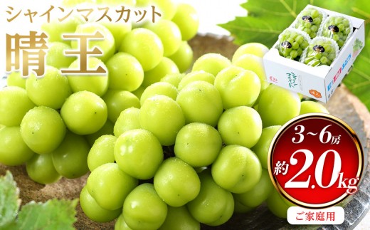 
                  ぶどう 2026年  ご家庭用 シャイン マスカット 晴王 3～6房 約2kg ブドウ 葡萄  岡山県産 国産 フルーツ 果物
                