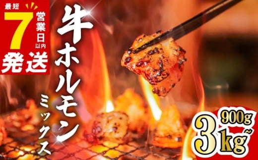 ホルモン 牛 ミックス 900g 300g×3パック 小分け 最短7営業日以内発送 味付き 肉 タレ漬け 牛ホルモン 冷凍 牛肉 味付け肉 ミックスホルモン 焼肉 焼き肉 バーベキュー BBQ キャンプ フライパン ミックスホルモン 奈良県 奈良市 焼肉工房もく 5-025