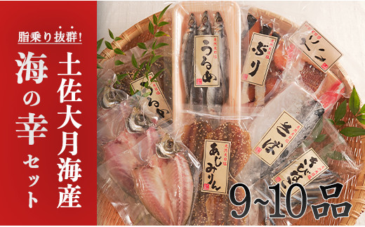 
土佐大月海産　海の幸セット　9～10品
