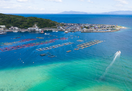 【谷鮮魚食堂】真鯛の漬け丼の素　5パック