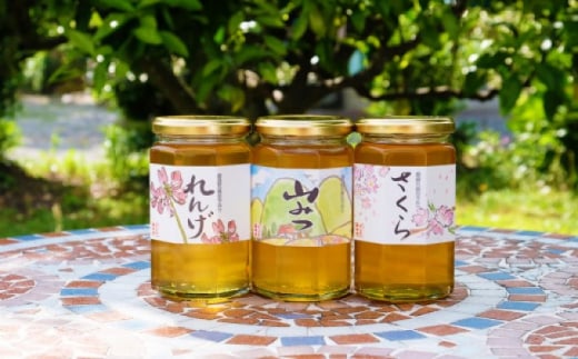 はちみつ 国産 天然 純はちみつ 370g×3本セット やまみつ＆さくら＆れんげ ハチミツ 蜂蜜