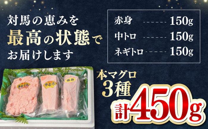 【1週間以内発送】対馬産 本マグロ 3種 計450g（赤身/中トロ/ネギトロ）《対馬市》【対海】[WAH002] マグロ まぐろ 鮪 本鮪 本マグロ 養殖 トロ 中トロ 中とろ 赤身 ねぎとろ ネギトロ たたき 刺身 冷凍 海鮮 魚 柵 お祝い 贈答 スピード発送 最速発送 最短発送