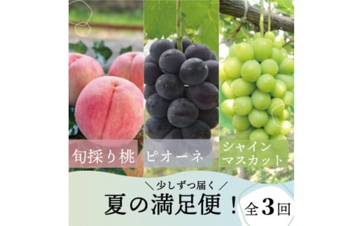 ＜発送月固定定期便＞＜2026年先行予約＞桃、ピオーネ、シャインマスカットの満足便(岡山県産)全3回【4078998】