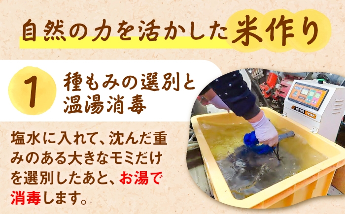 きぬむすめ 玄米 kome 島根 無農薬 有機JAS