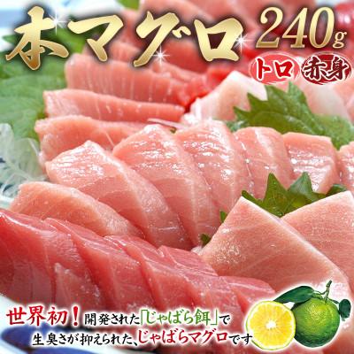ふるさと納税 北山村 本マグロ(養殖)トロ&amp;赤身セット 240g【nks113】