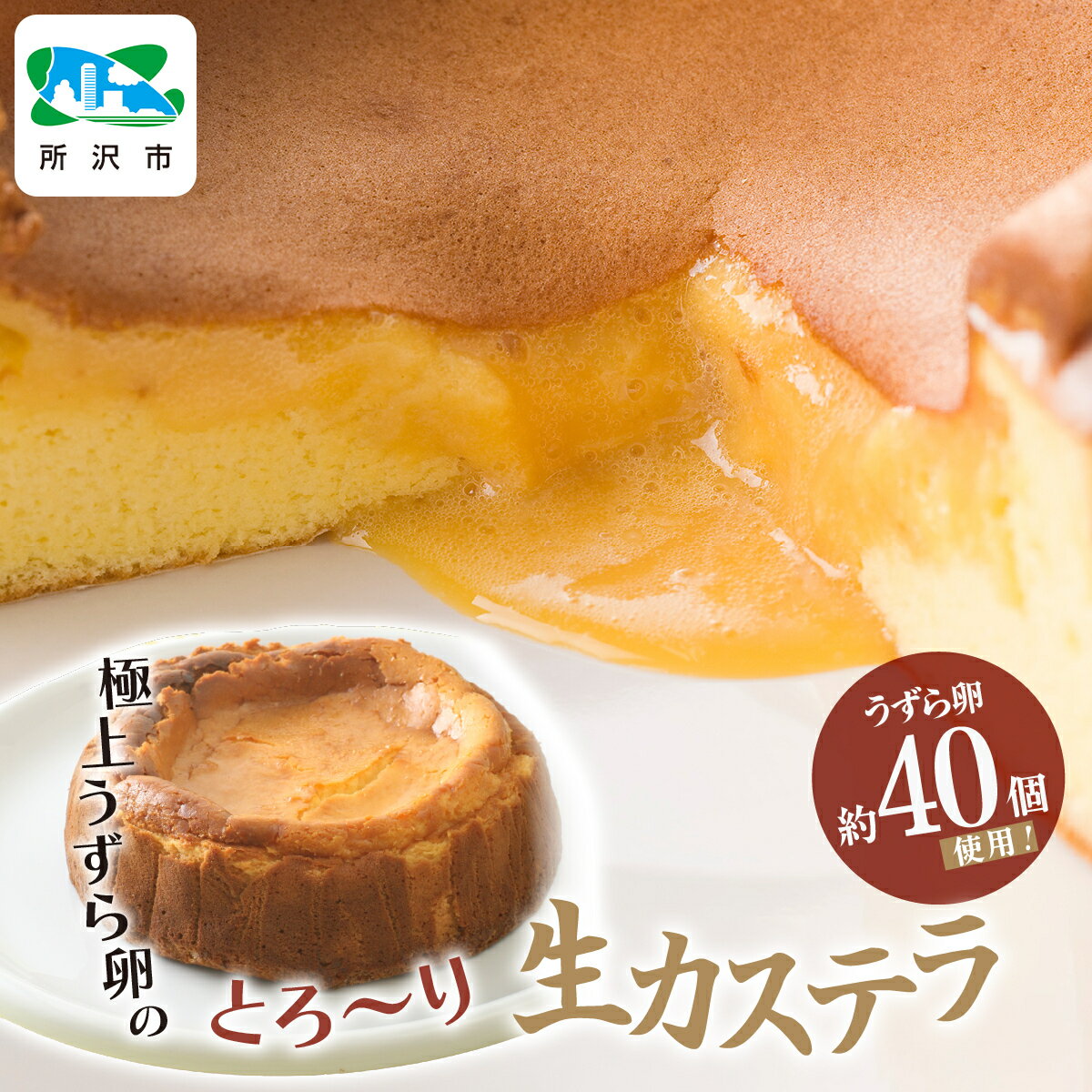 【ふるさと納税】極上うずら卵のとろ～り生カステラ 1箱 うずら屋 | 卵 うずら うずらの卵 カステラ 生カステラ 濃厚 クリーミー スイーツ お菓子 焼き菓子 洋菓子 和菓子 デザート おいしい おすすめ お土産 ギフト 贈答品 埼玉県 所沢市