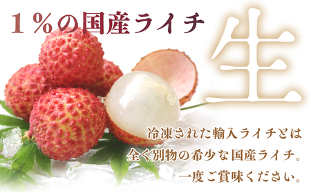 【数量限定】希少 国産 綾生ライチ 2種食べ比べセット/ 宮崎県 綾町産 ライチ 国産ライチ 生ライチ 果物 フルーツ ライチ 産地直送 お中元