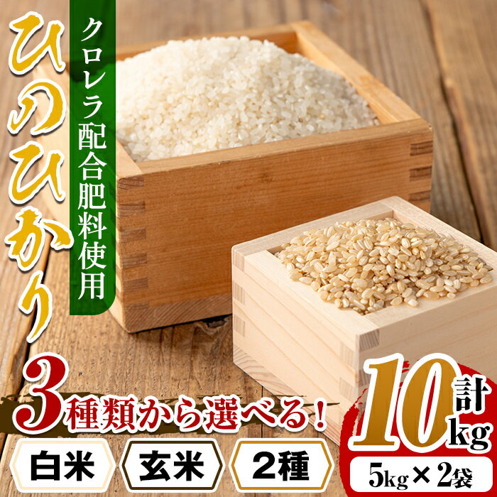 【ふるさと納税】＜先行予約受付中！2025年11月上旬以降順次発送予定＞ 3種から選べる！ クロレラ 米 （ひのひかり・5kg×2袋・計10kg) 米 お米 10kg 白米 玄米 ひのひかり 訳あり クロレラ米 健康食品 クロレラ配合 精米 【黄龍農園】