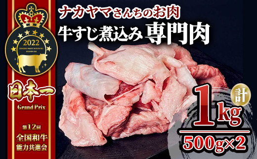 2548 【ナカヤマさんちのお肉】牛すじ煮込み専門肉 計1kg（500g×２袋） 鹿児島 和牛 牛肉 肉 国産 冷凍 小分け 牛スジ 煮込 専用肉 カレー シチュー ビーフシチュー おでん クッパ