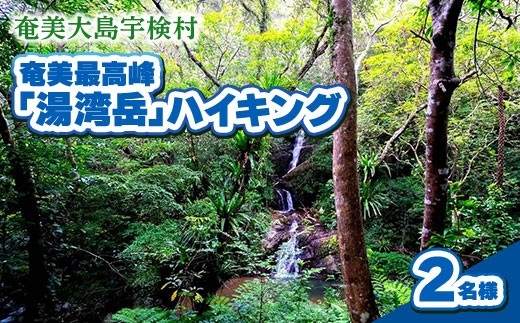 奄美最高峰「湯湾岳」ハイキング 2名様 奄美大島 宇検村 鹿児島県 旅行 自然 冒険 完全プライベート