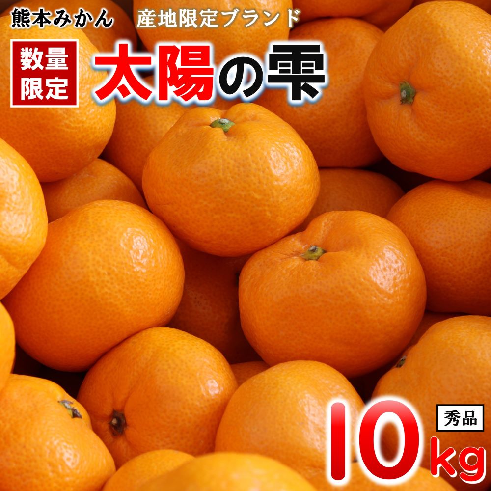 【ふるさと納税】 【 先行予約 】 みかん 太陽の雫（しずく）期間限定 約 10kg | 柑橘 温州みかん ブランド 高級 秀品 熊本県 くまもと 和水町 なごみまち