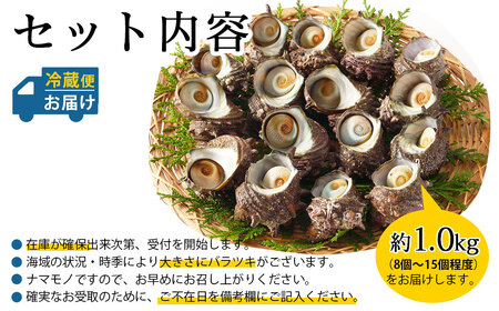 玄海町産 活サザエ 1.0kg ／ 数量限定 希少 貝 魚介 魚介類 海鮮 海産物 サザエ 刺身 壺焼き つぼ焼き バーベキュー BBQ【A186】