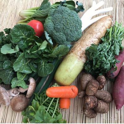 ふるさと納税 神栖市 『身体が喜ぶ野菜』(おまかせ10〜12品) |  | 01