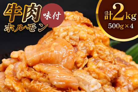 牛肉 ホルモン 焼肉 500g×4個 計2kg [0720c]