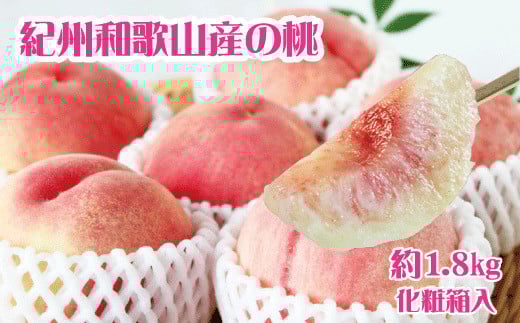 紀州和歌山産の桃　約1.8kg　化粧箱入 ※2025年6月下旬～2025年8月上旬頃順次発送（お届け日指定不可） / もも モモ 桃 ギフト 贈り物 プレゼント 夏ギフト 果物 フルーツ 人気 産地直送 和歌山県 お取り寄せ 【uot720-2】