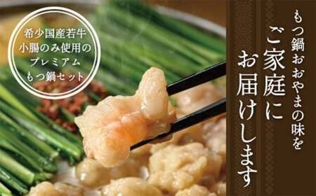 福岡 もつ 専門店 売上高 1位 【 3ヶ月 定期便 】 博多もつ鍋 おおやま もつ鍋 みそ味 2人前 国産 冷凍 モツ