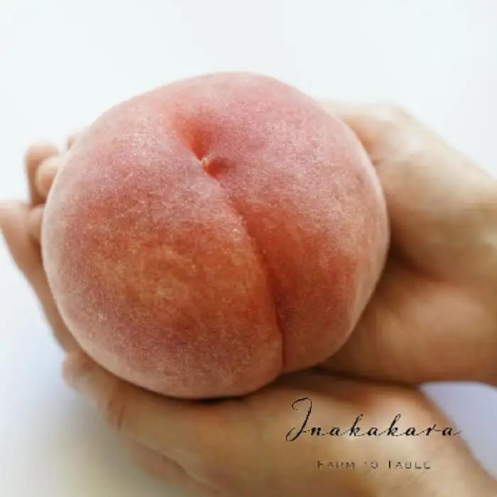 【2026年発送★先行予約】【笛吹市産】Inakakara  一宮町の桃 ファーストクラス 4玉(約1.6kg) 192-009