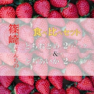 【1月から順次発送】篠崎さんちのとちおとめ＆とちあいか食べ比べセット(レギュラー4パック)【配送不可地域：離島・沖縄県】【1372219】