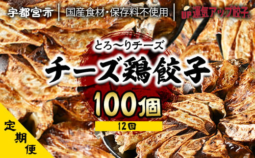 
『定期便』宇都宮餃子　チーズ鶏餃子　保存料不使用100個　全12回【配送不可地域：離島】
