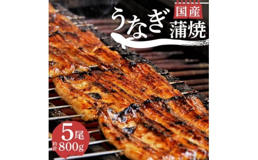 【 7月31日 土用 丑の日 対応 】 国産 うなぎ 蒲焼 5尾 800g 鰻 真空 小分け 冷蔵  沼津 うなよし 人気 高級 静岡県