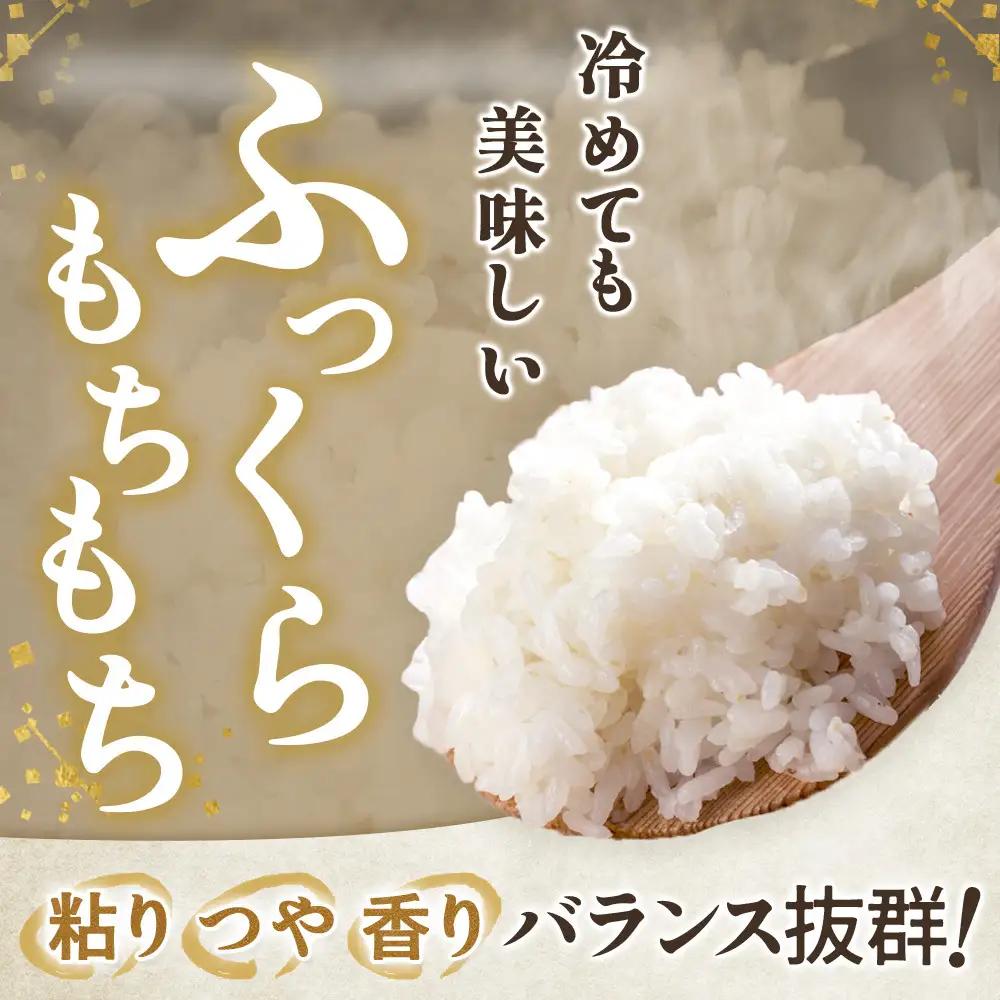 【令和7年産】ひとめぼれ 無洗米 5kg ｜ ひとめぼれ