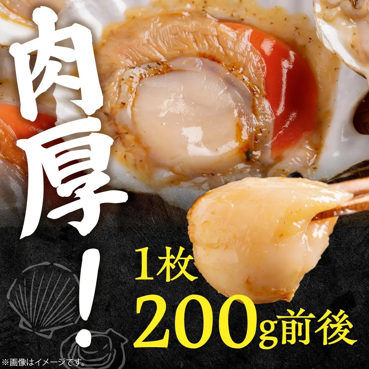 鵡川漁協発！天然片貝冷凍ホタテ貝（約1kg） MKWV005