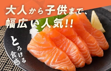 人気海鮮定期便 サーモン／真鯛 食べ比べ 全4回【毎月配送コース】