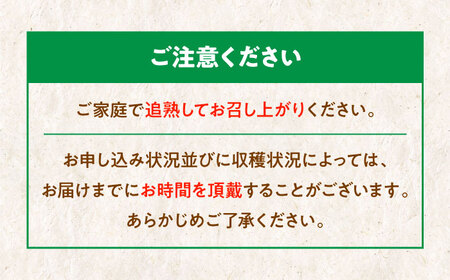 【11月中旬から順次発送】【訳あり】グリーンキウイ 2kg （約15玉から20玉）/玉川農園 キウイ 訳あり キウイフルーツ フルーツ 果物 くだもの[AGBC011]