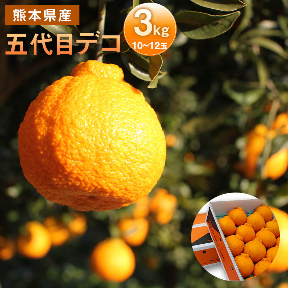 【ふるさと納税】五代目デコ 3kg (2L〜3L：10玉〜12玉) デコポン 不知火 九州産 熊本県産 果物 みかん 柑橘 送料無料【2026年2月下旬-6月下旬発送】