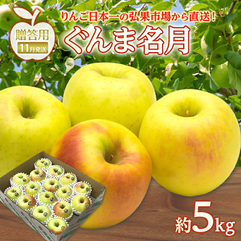 【ふるさと納税】りんご 【 11月発送 】 贈答用 ぐんま名月 約 5kg　リンゴ 林檎 青森りんご 糖度 13度 甘い 酸味 デザート フルーツ 果物 お取り寄せ 産地直送 旬 季節限定 弘果物流 青森県 西目屋村 西目屋村産　お届け：2026年11月中