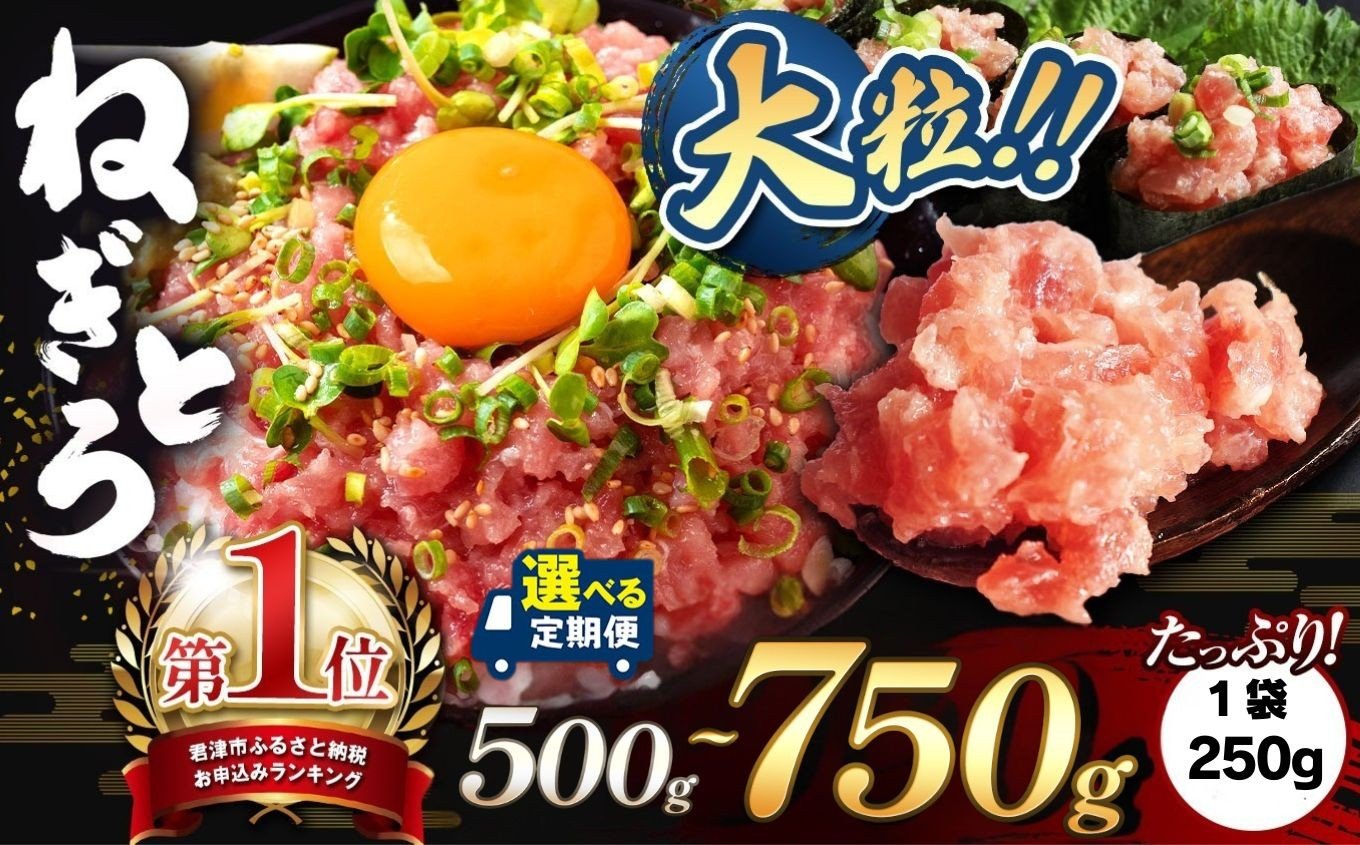 
            【選べる 回数 】 定期便 大人気！ねぎとろ 500g 750g （250g×2袋） 清幸丸水産 1回 3回 6回 12回 | 【 ふるさとチョイス限定品 】 まぐろ マグロ 鮪 手巻き寿司 韓国ユッケ 海鮮丼 君津市 きみつ
          