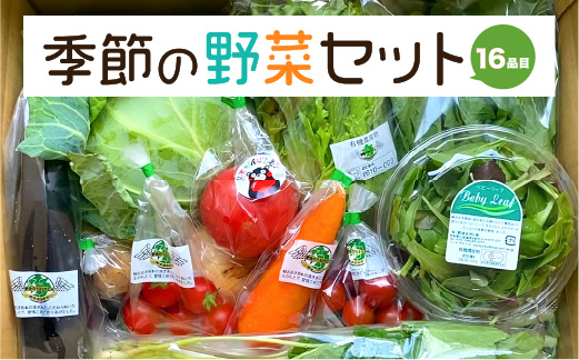 季節の野菜 16品目セット_イメージ1