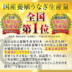 鹿児島県産うなぎ蒲焼 名水慈鰻 特大3尾(1尾190g以上)＜計570g以上＞ b3-006