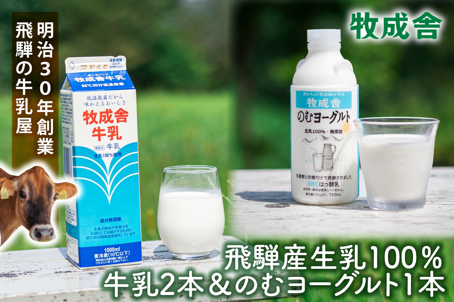 
            【飛騨産低温殺菌牛乳・飲むヨーグルトセット】牧成舎牛乳1000ml×2本／のむヨーグルト750ml×1本｜食品添加物不使用・濃厚・お取り寄せ・子どもにも｜ (有)牧成舎 DF044
          