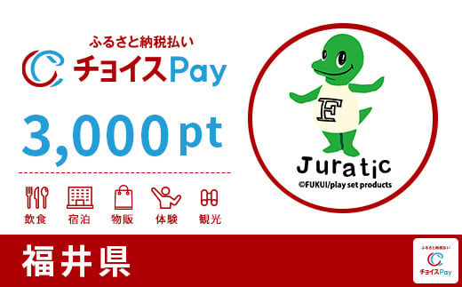 
福井県チョイスPay 3,000pt（1pt＝1円）（寄付の使い道に「福井県アンテナショップ応援」を選択された県外在住の方のみ）【会員限定のお礼の品】
