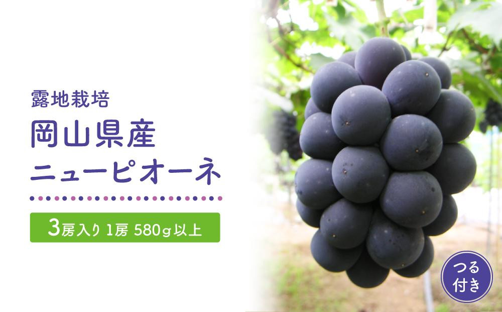 
GV21　【露地栽培】岡山県産ニューピオーネつる付き3房入り（1房580ｇ以上）＜2025年発送＞【葡萄 ぶどう ニューピオーネ 果物 フルーツ 国産 人気 おすすめ 岡山県 倉敷市】
